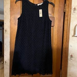 Loft 2 Petite Navy lace shift dress.